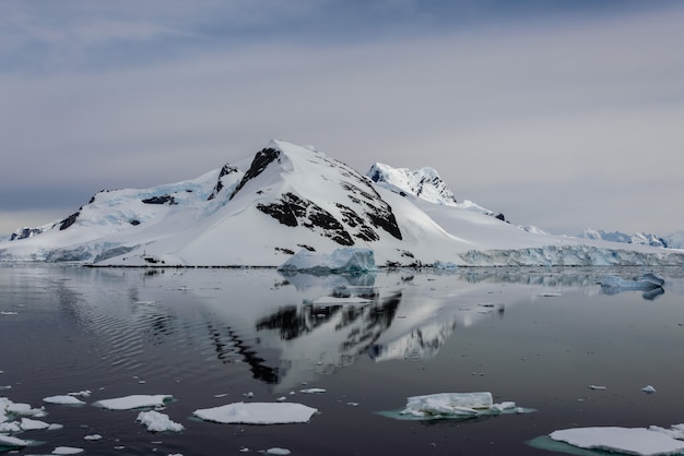 Vista sul mare antartica con la riflessione