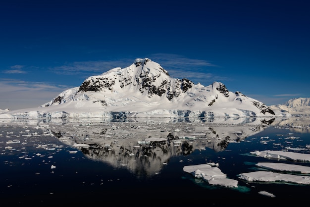 Vista sul mare antartica con la riflessione