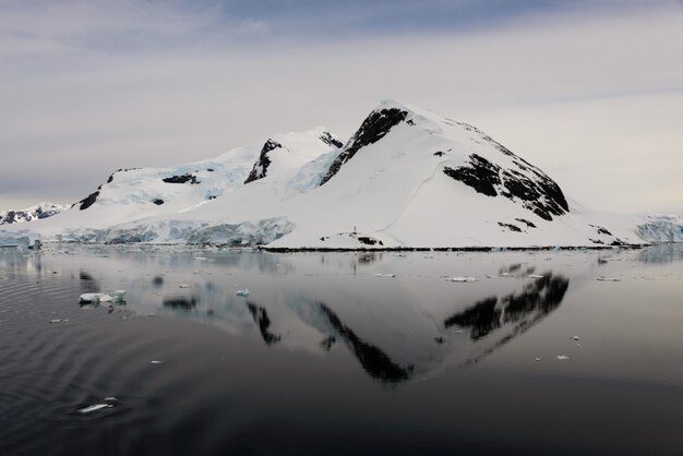 Vista sul mare antartica con la riflessione