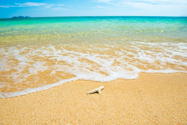 Vista sul mare con corallo sulla spiaggia tropicale di sabbia, onde bianche da surf, acqua di mare turchese e cielo blu