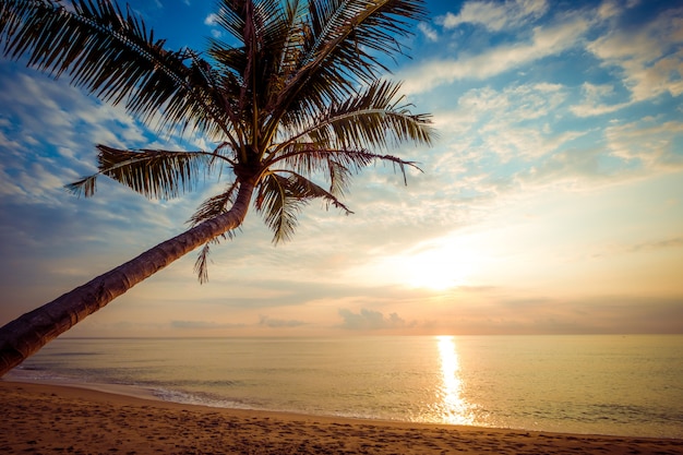 Vista sul mare di bella spiaggia tropicale con palme all&#39;alba