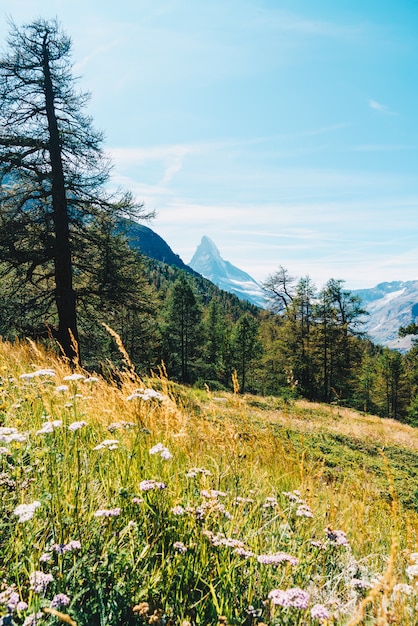 vista sul picco del Cervino a Zermatt, Svizzera.