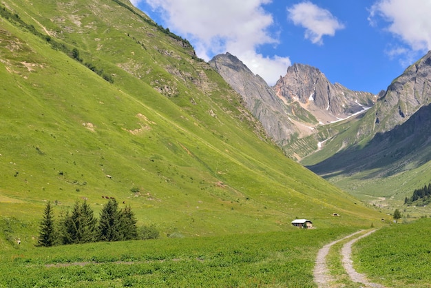 Vista sul prato verde coperto montagna alpina e sentiero che attraversa la valle a