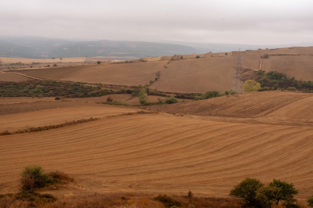 Vista sul vigneto