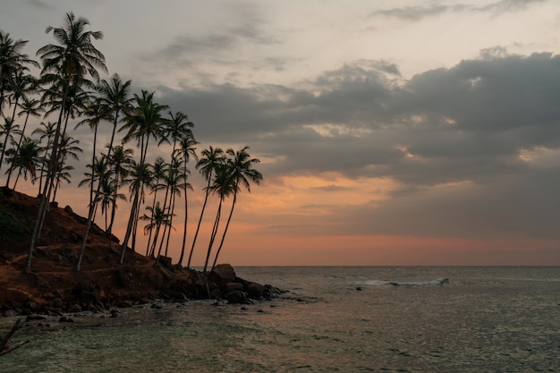 Vista sull'oceano delle palme, paesaggio del cielo al tramonto dell'isola