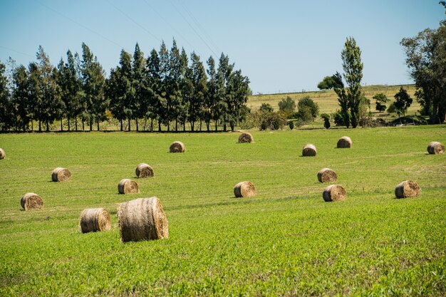 Vista sulla campagna dall'Urugua