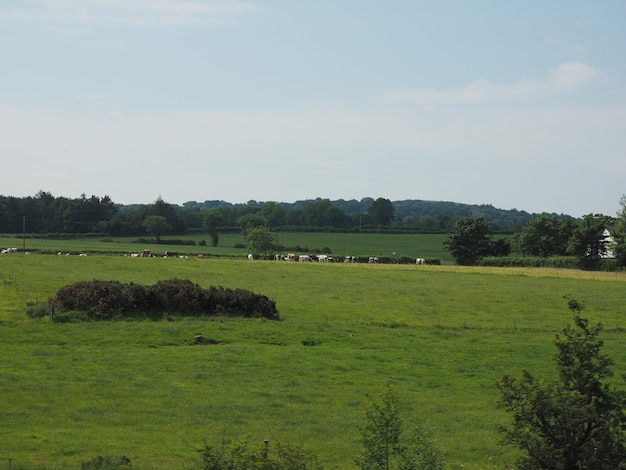 Vista sulla campagna di Belfast