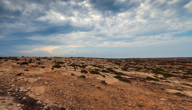 Vista sulla campagna di Lampedusa