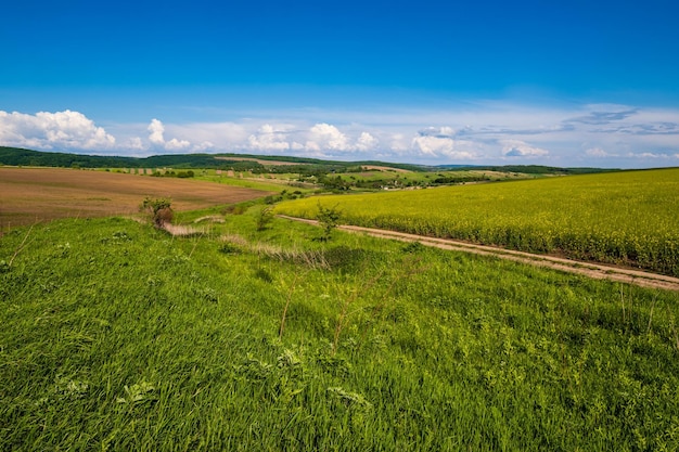 Vista sulla campagna primaverile con strade sporche colza giallo campi in fiore villaggio colline Ucraina Regione di Lviv