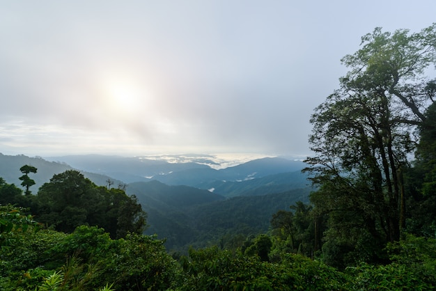 Vista sulla catena montuosa e sul mare di nebbia al mattino