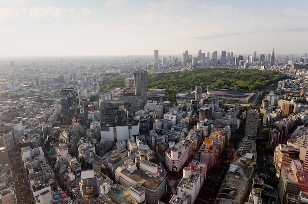 Vista sulla città ad alto angolo con parco