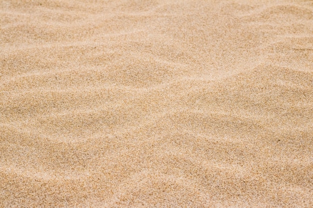 Vista sulla costa dell'oceano, meta perfetta per viaggi e vacanze