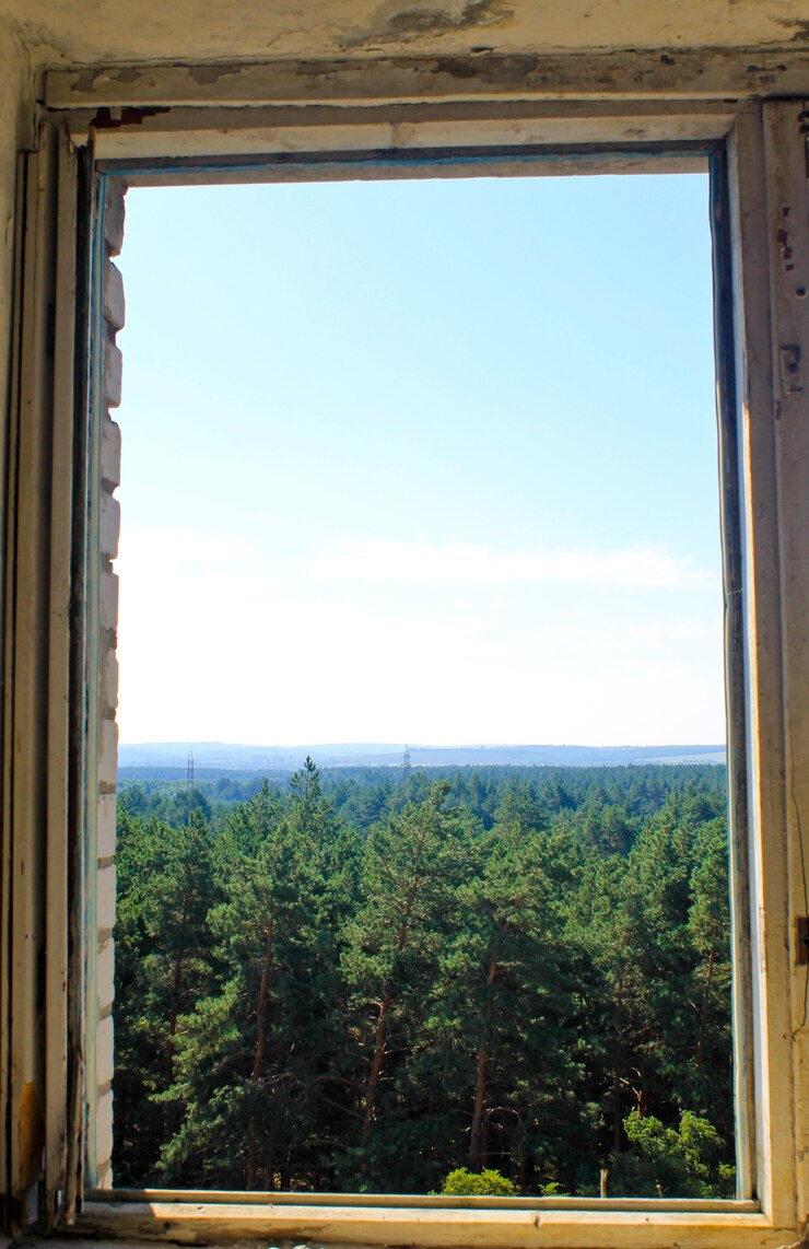 Vista sulla foresta attraverso il telaio di una finestra di una casa abbandonata