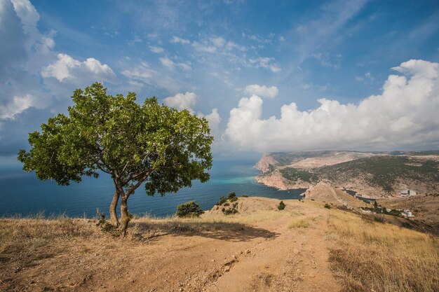 Vista sulla fortezza di Cembalo a Balaklava