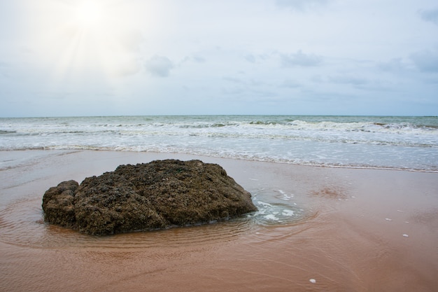 Vista sulla natura, sul mare e sugli alberi