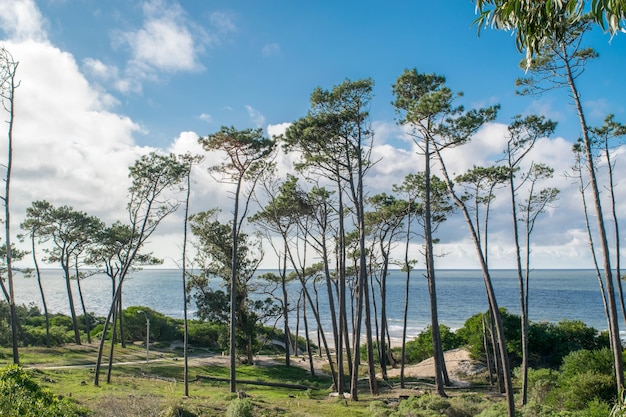 Vista sulla spiaggia di Canelones, Uruguay