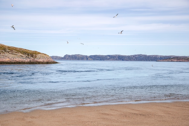 Vista sulla spiaggia sabbiosa e sul mare