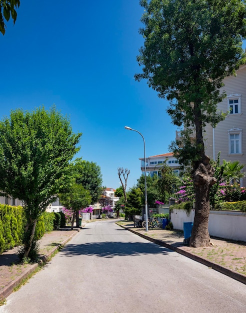 Vista sulla strada con vecchie case e giardini con fiori sull'isola di Adalar in una soleggiata giornata estiva