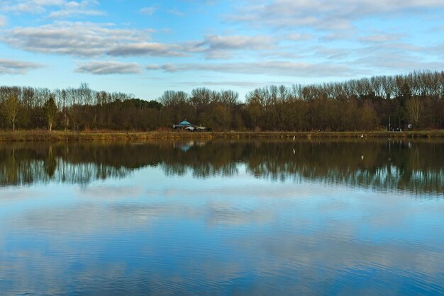 Vista sulla superficie del lago con alberi riflettenti e cielo blu con nuvole bianche