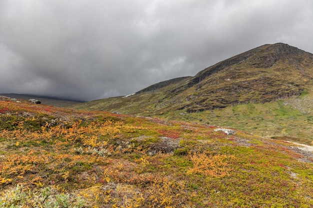 Vista sulla vallata. Svezia settentrionale, Sarek National Park durante le tempeste