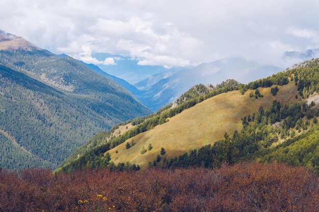 Vista sulla valle dei monti Altai. Paesaggio autunnale della gola di montagna. Cresta delle montagne e cielo azzurro