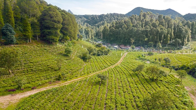 Vista sulle colline e sul villaggio