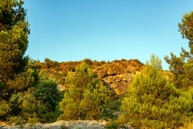 Vista sulle montagne circondata da alberi contro un cielo azzurro