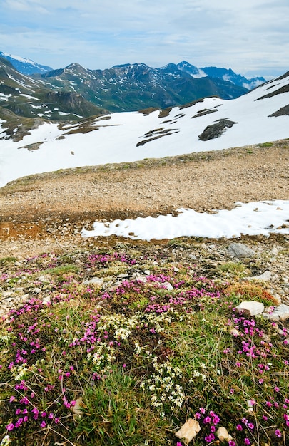 Vista sulle montagne delle Alpi dalla Strada alpina del Grossglockner