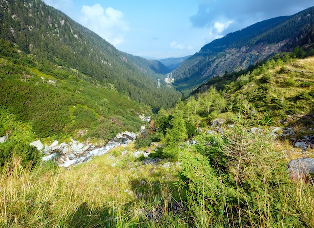 Vista sulle montagne estive dalla strada Transfagarasan