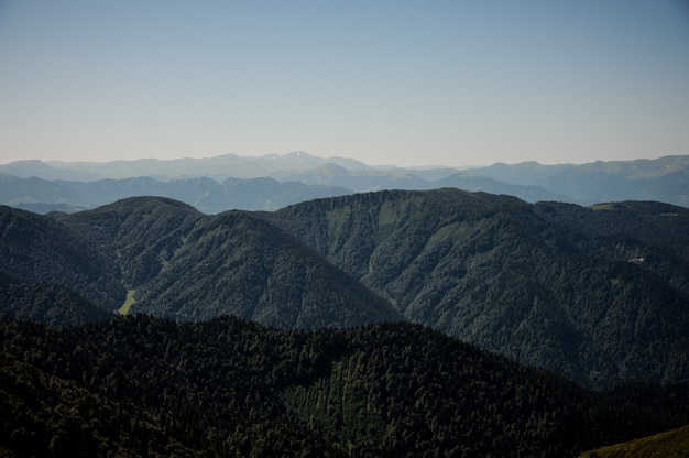 Vista sulle montagne sotto il cielo limpido durante il giorno coperto di foreste sempreverdi