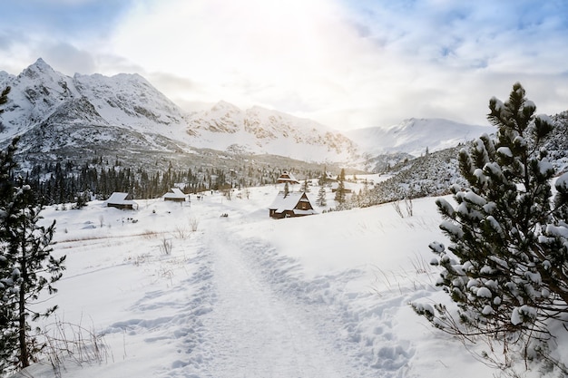 Vista sulle montagne vicine in inverno Zakopane Foto di alta qualità