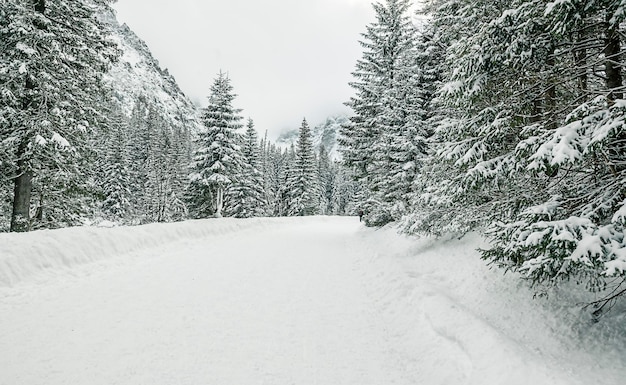 Vista sulle montagne vicine segue la strada per l'occhio del mare in inverno zakopane