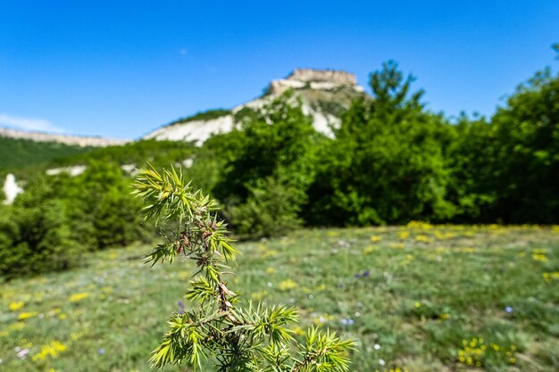 Vista sulle pittoresche montagne della Crimea vicino alla città rupestre di TepeKermen Crimea Russia