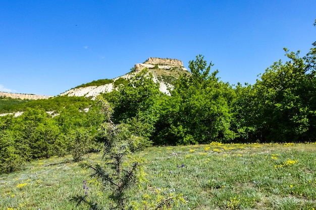 Vista sulle pittoresche montagne della Crimea vicino alla città rupestre di TepeKermen Crimea Russia