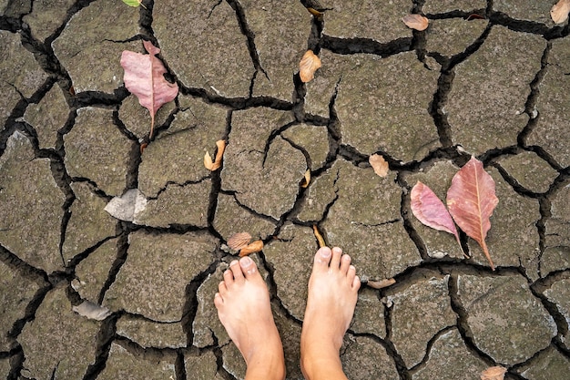 Vista superiore dei piedi sul terreno secco crepato con foglie d'autunno cadute