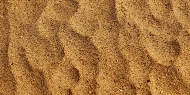 Vista superiore del fondo della spiaggia sabbiosa