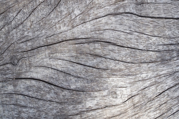 Vista superiore del modello della superficie del fondo di vecchio legno naturale rustico nero di lerciume della superficie del fondo.