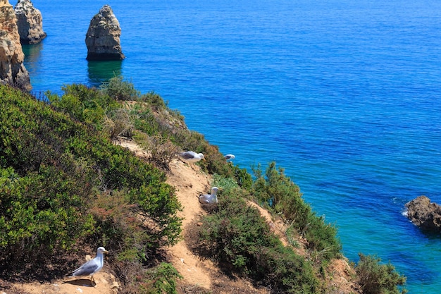 Vista superiore della costa rocciosa atlantica di estate (Portimao, Alvor, Algarve, Portogallo).