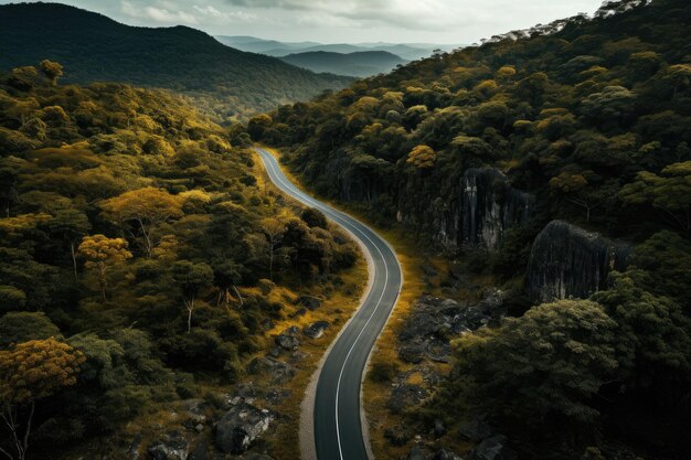 Vista superiore della strada tortuosa Una pista piatta tra densi alberi verdi Strada asfaltata nella foresta Foto del drone