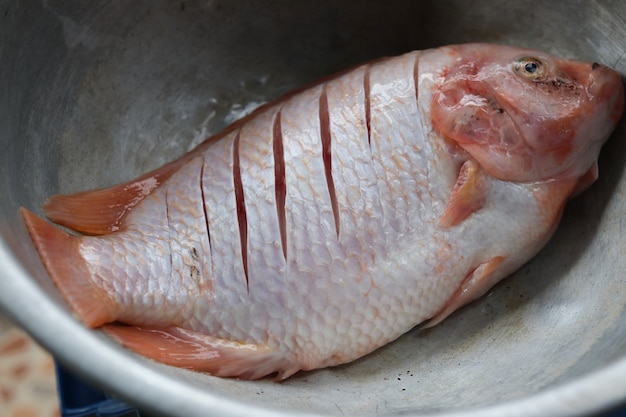 Vista superiore di tilapia del pesce fresco in alimento inossidabile del colpo che aspetta cucinare