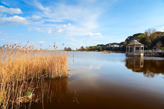 Vista Torre del Lago