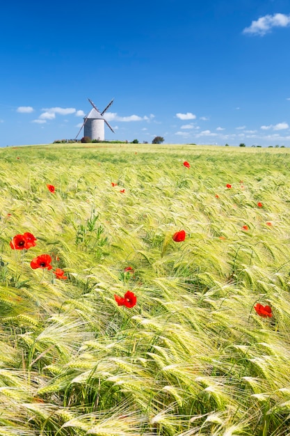 Vista verticale del mulino a vento e campo di grano, Francia, Europa.