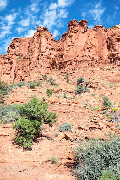 Vista verticale del paesaggio selvaggio vicino a Sedona