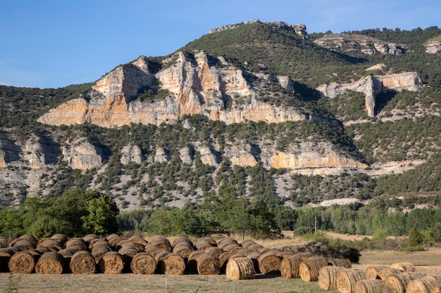 Vista vicino a Pesquera de Ebro con barili di fieno Burgos Spagna