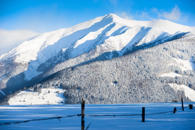 Viste dalla città Liptovsky Mikulas ai Tatra occidentali in inverno con alberi innevati e cielo nuvoloso.