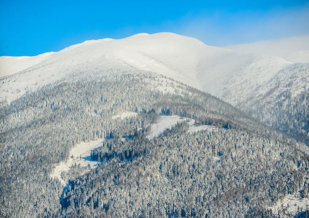 Viste dalla città Liptovsky Mikulas ai Tatra occidentali in inverno con alberi innevati e cielo nuvoloso.