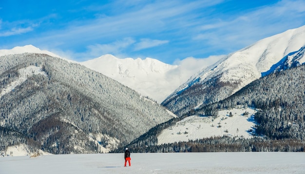 Viste dalla città Liptovsky Mikulas ai Tatra occidentali in inverno con alberi innevati e cielo nuvoloso.