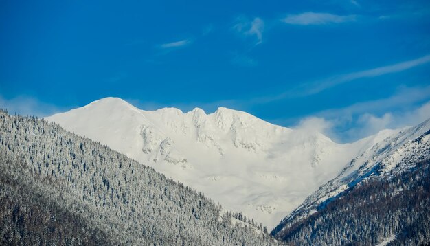 Viste dalla città Liptovsky Mikulas ai Tatra occidentali in inverno con alberi innevati e cielo nuvoloso.