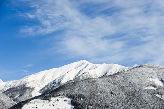 Viste dalla città Liptovsky Mikulas ai Tatra occidentali in inverno con alberi innevati e cielo nuvoloso.