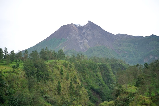 Viste del focoso Monte Merapi con un tratto di alberi verdi